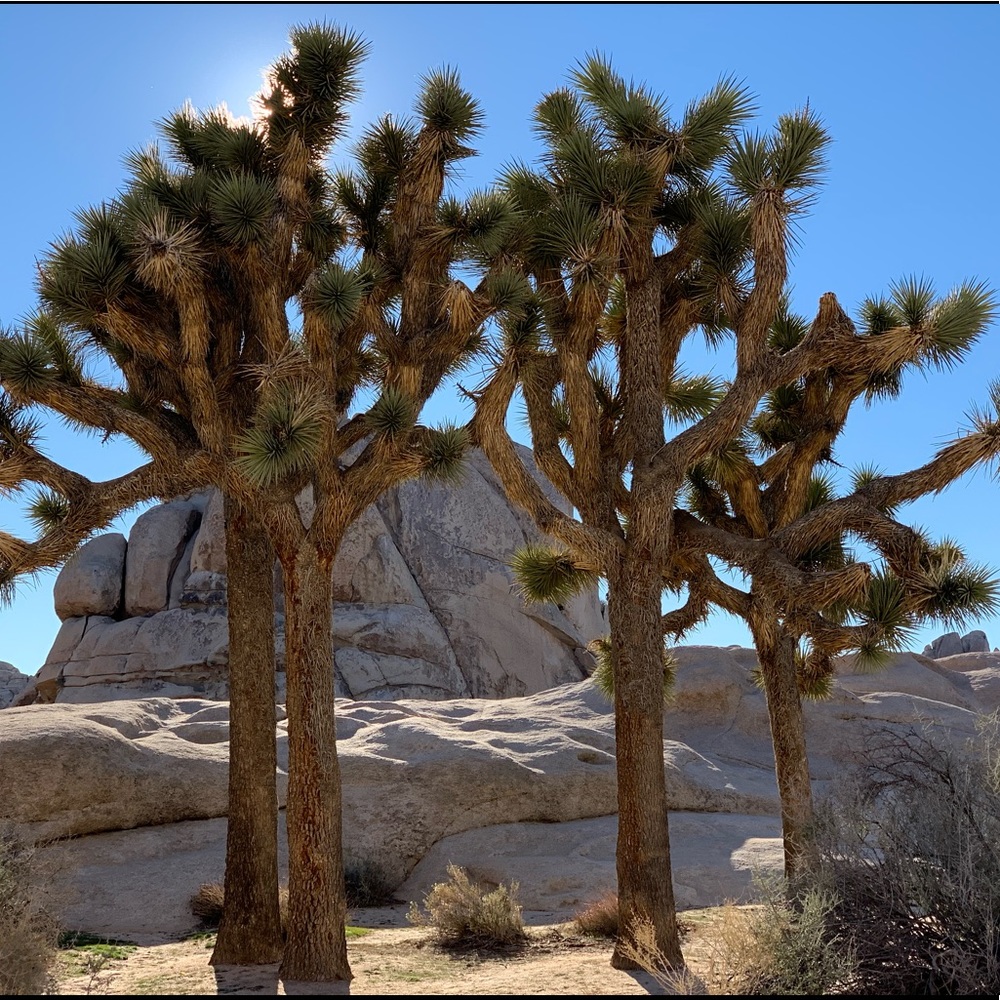 Meet your Posher, Zsuzsa